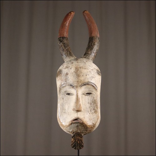 68933 maske fang - maske, gabun